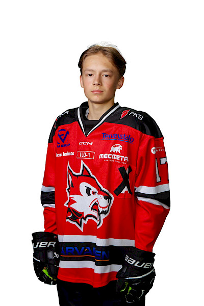 Litmanen Leevi