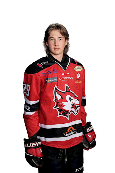 Virtanen Luukas