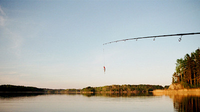 Ärjy King Fisher 2019