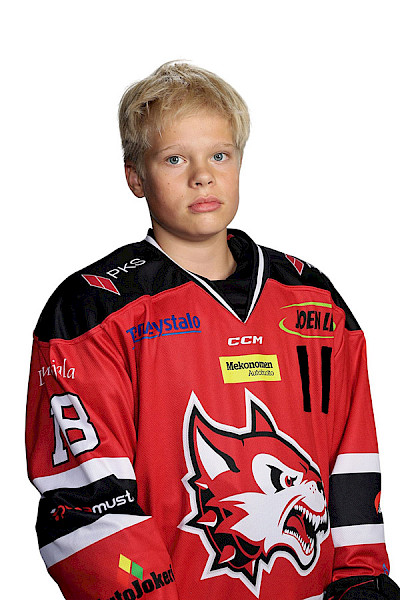 Toivanen Jaakko