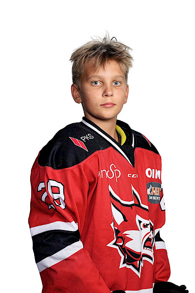 Kamppuri Akseli