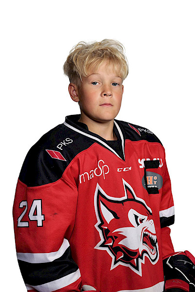 Nykänen Mikael