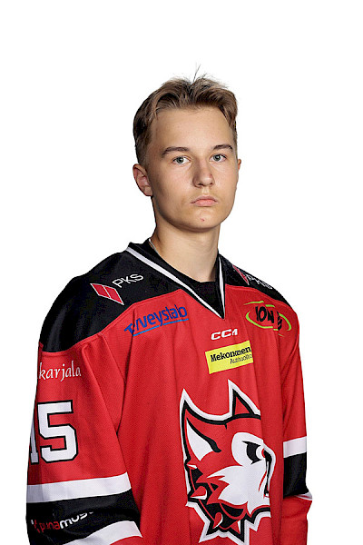 Pitkänen Leevi