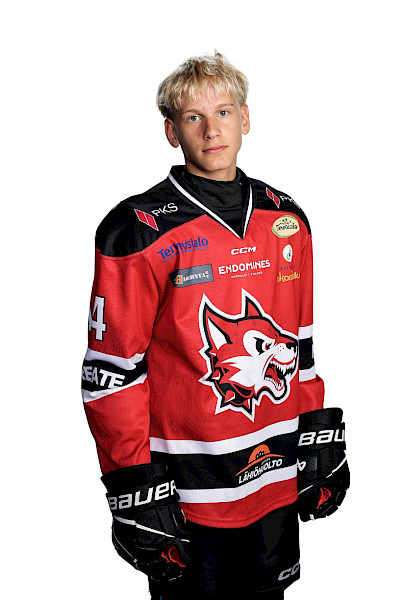 Junninen Ville