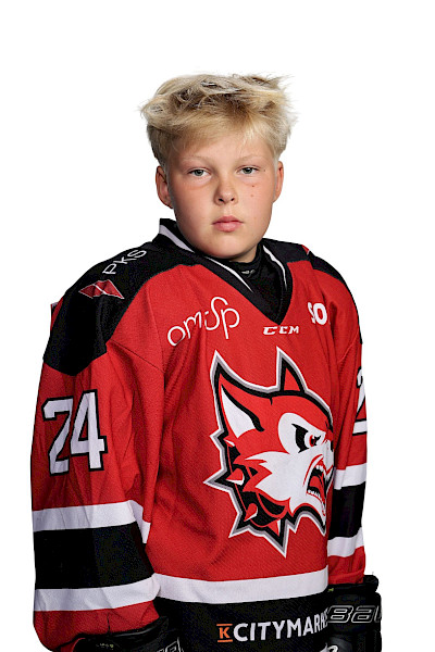 Heikkinen Eino