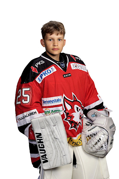Saastamoinen Veikka