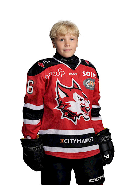 Manninen Viljo