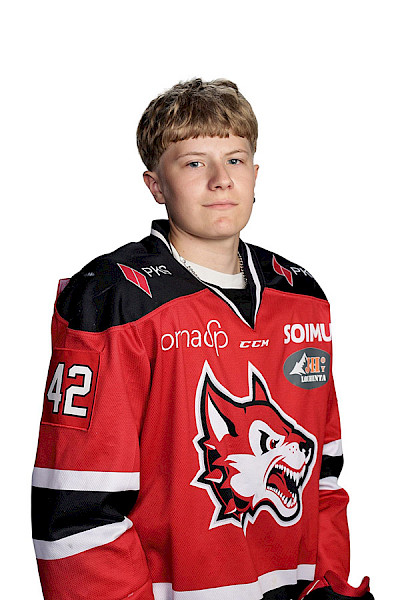 Vaittinen Leevi