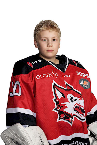 Huovinen Sisu