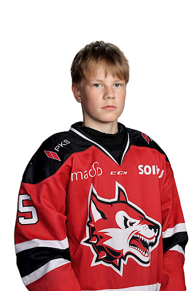Varis Kaarlo