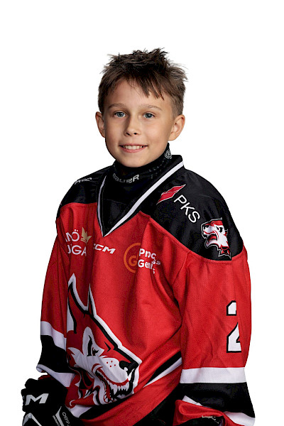 Kastinen Sisu