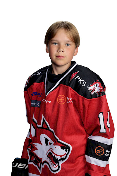 Parikka Jesse