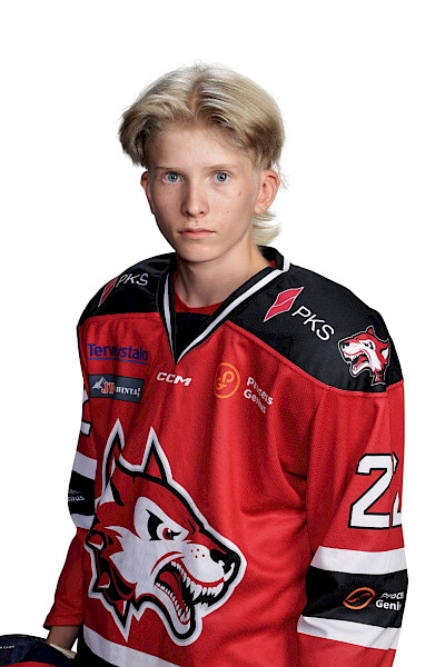 Ruuskanen Myrsky