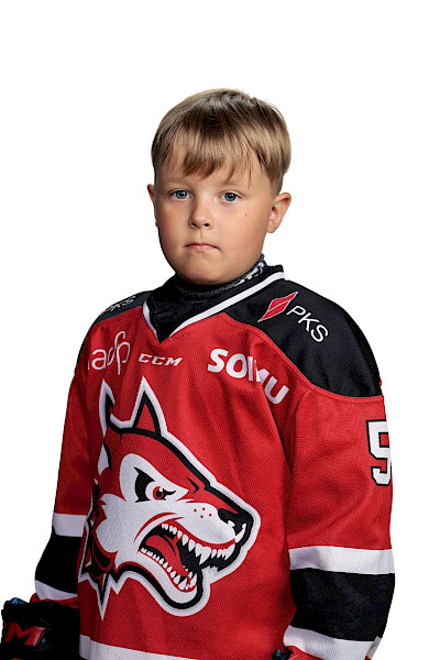Nylander Niklas