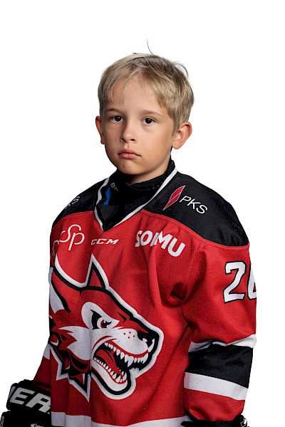 Toivanen Miro