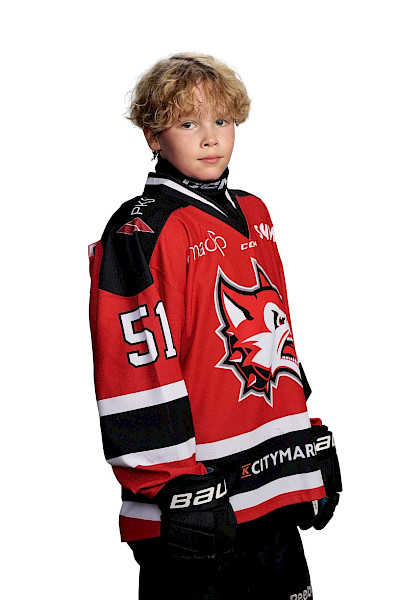 Haverinen Mikael